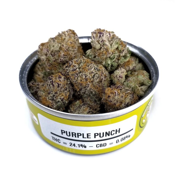 166227_Purple_Punch-1.jpeg buy Purple Punch strain