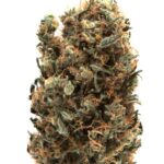Buy AK-47 Strain