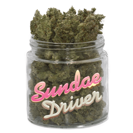 Buy Sundae Driver Strain