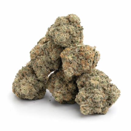 Buy Thin Mint Cookies Strain
