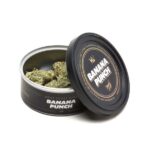 Banana Punch Marijuana - Image 3