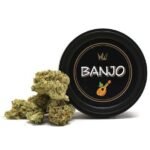 Buy West Coast Cure Banjo Strain