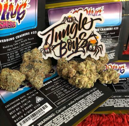 Buy Jungle Boys Wedding Pie Strain