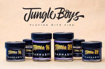 Buy Jungle Boys Mimosa #14 & #27
