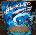Buy Sharklato Runtz - Image 2