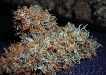Buy White Widow Strain