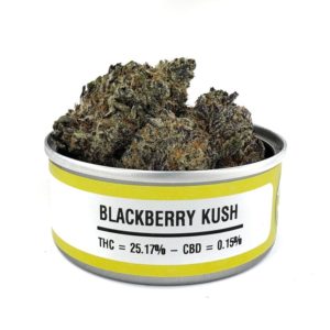 Buy Blackberry Kush Tins