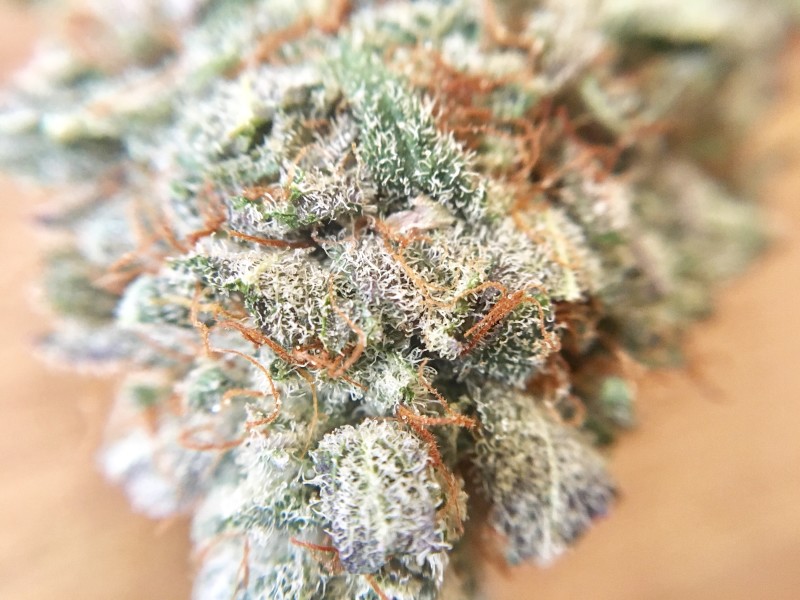 blackberry-kush.jpg Blackberry Kush Strain - Image 1
