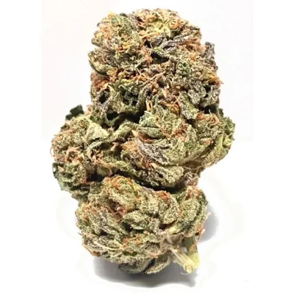 Buy Critical Kush Strain