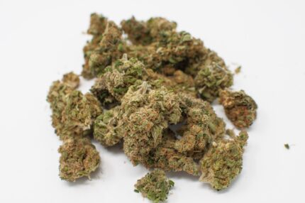 Buy Premium OG Kush