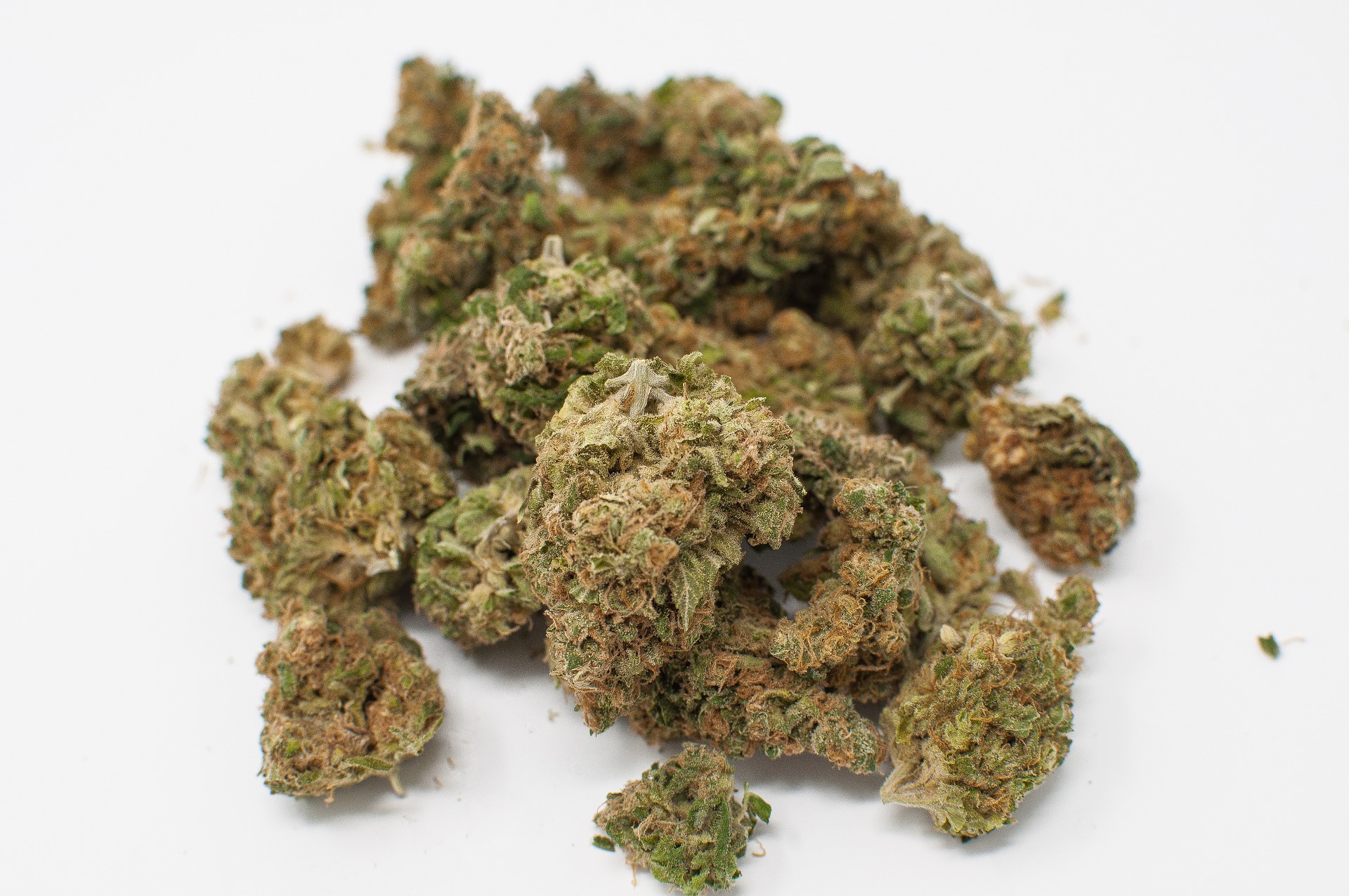 herbal-3122362_1920.jpg Buy Premium OG Kush