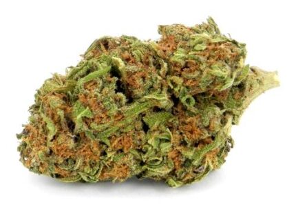 LA Confidential Strain