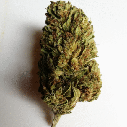 Buy Blueberry Cheesecake Strain